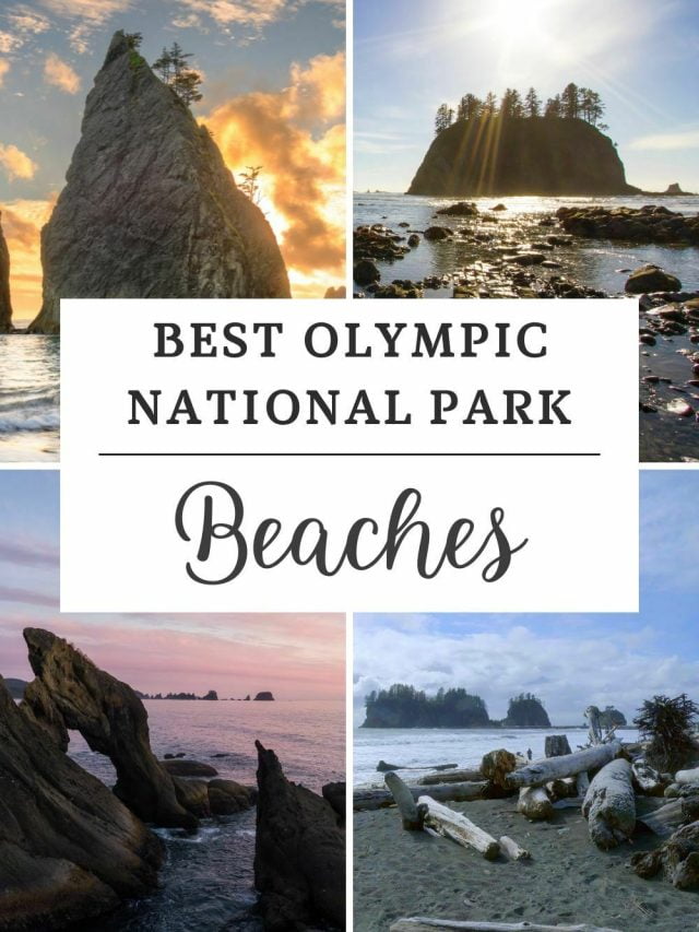 9 Unforgettable Olympic National Park Beaches