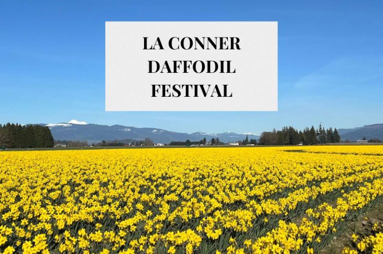 Enchanting La Conner Daffodil Festival in Washington