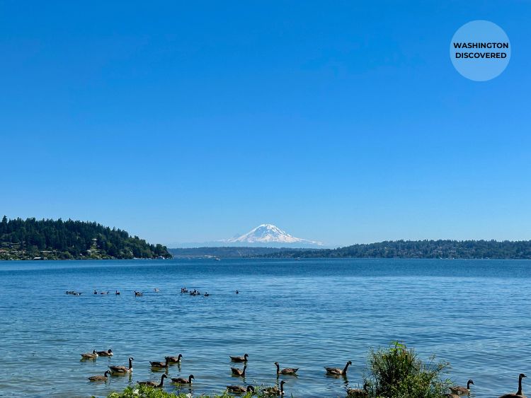 things to do in seattle seward park